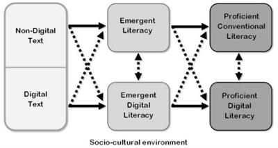 EFL teachers’ digital literacy: the role of contextual factors in their literacy development